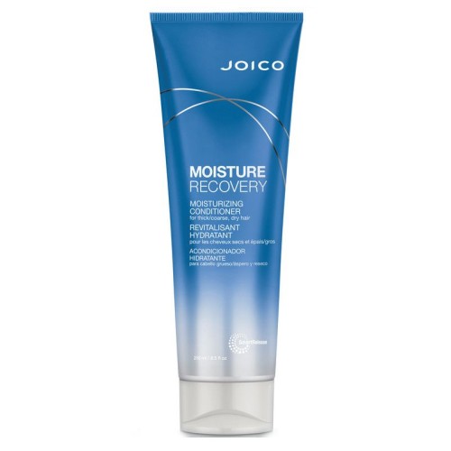 joico-moisture-recovery-conditioner-250ml.jpg