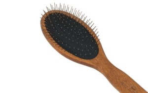 gorgol owal bez kulek 3.jpg