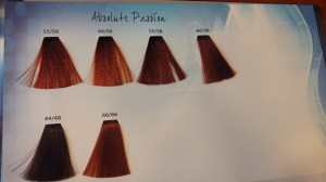 Farba do włosów bez amoniaku Lisap Easy Absolute 3 60 ml