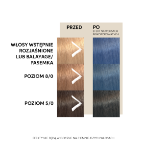 wella blue 2.jpg
