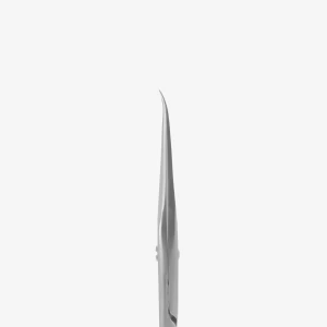 ss-41-31.webp