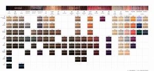 Farba do włosów Schwarzkopf Igora Royal 60ml